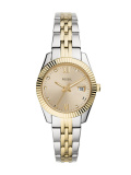 Fossil Scarlette Mini Bicolor